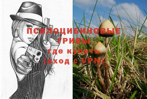 кокаин премиум Богданович