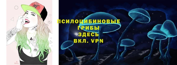 гидропоника Богородицк