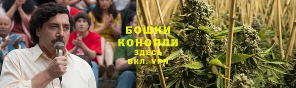 гидропоника Богородицк