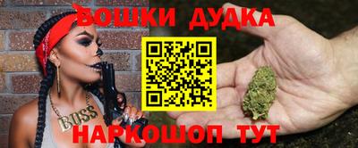 МДПВ Бийск
