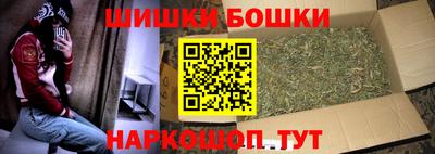 МДПВ Бийск