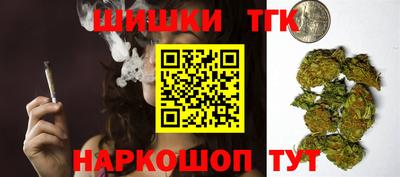 МДПВ Бийск