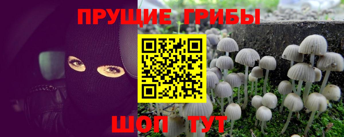 Кириши  Псилоцибиновые грибы мухоморы  Вход с VPN 