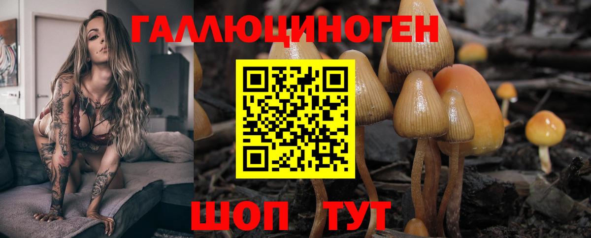 Галлюциногенные грибы MAGIC MUSHROOMS Кириши