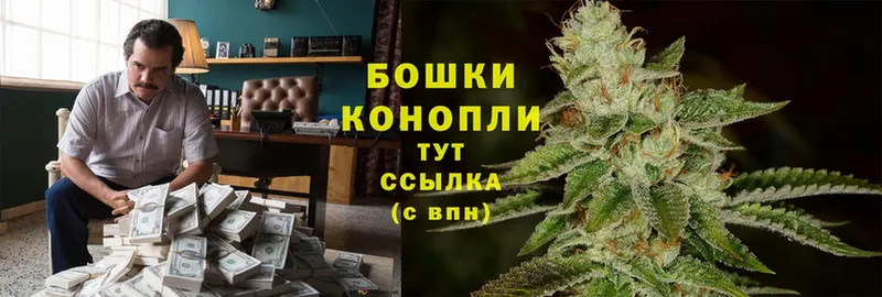 Канабис White Widow  Кириши 