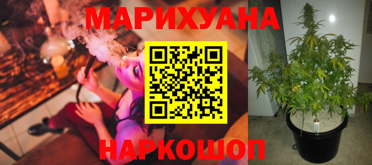 Марихуана семена Кириши